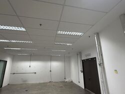 Solaris (D5), Factory #513571351
